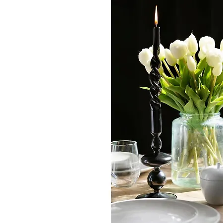 Old Town Premium By Elite